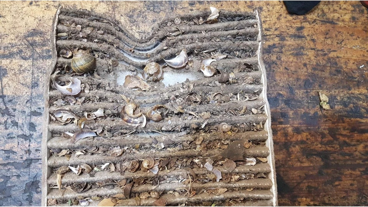 Dirty Cabin Air Filter